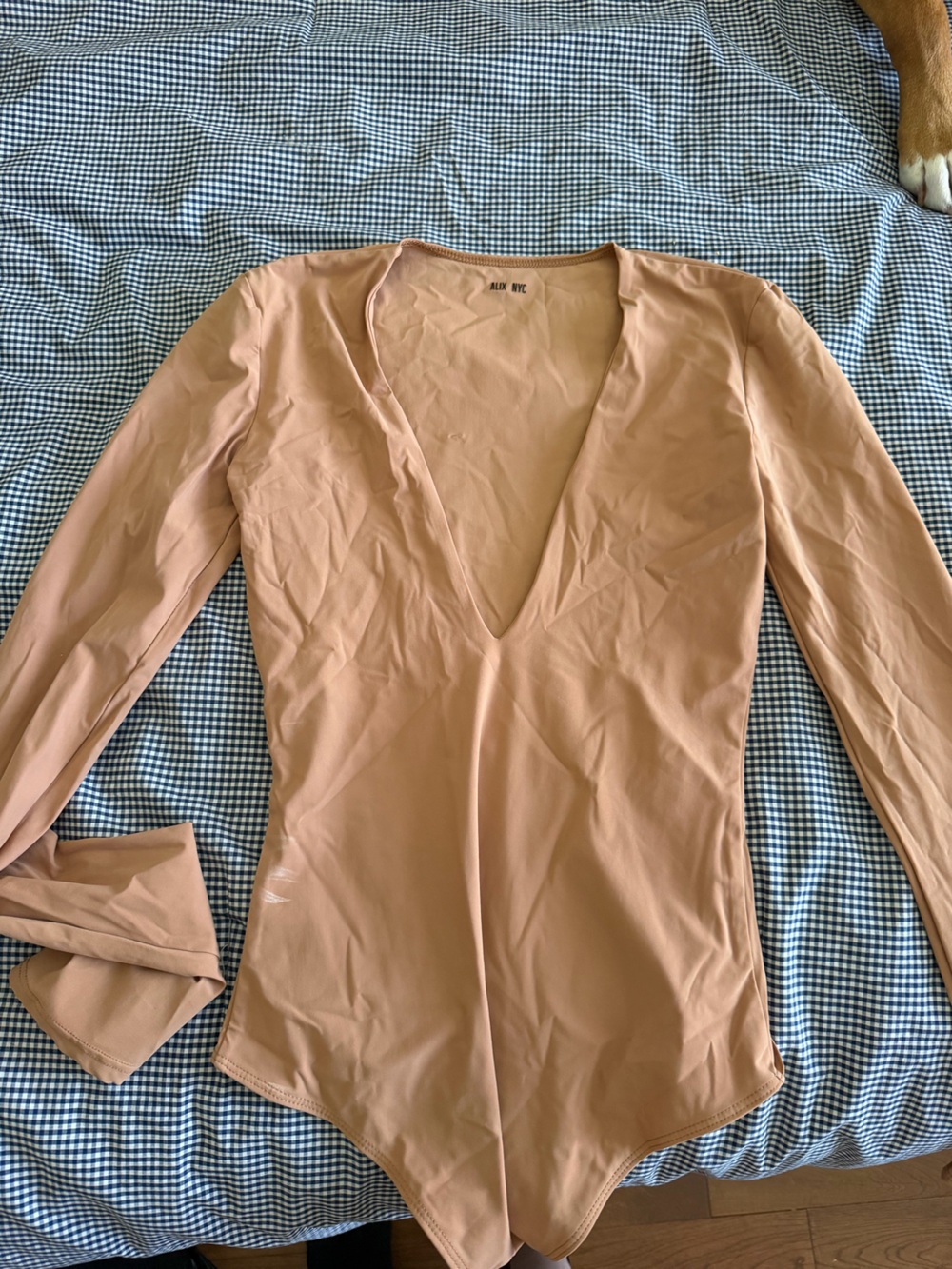 ALIX NYC Nude Pink Long-Sleeve Deep V Bodysuit